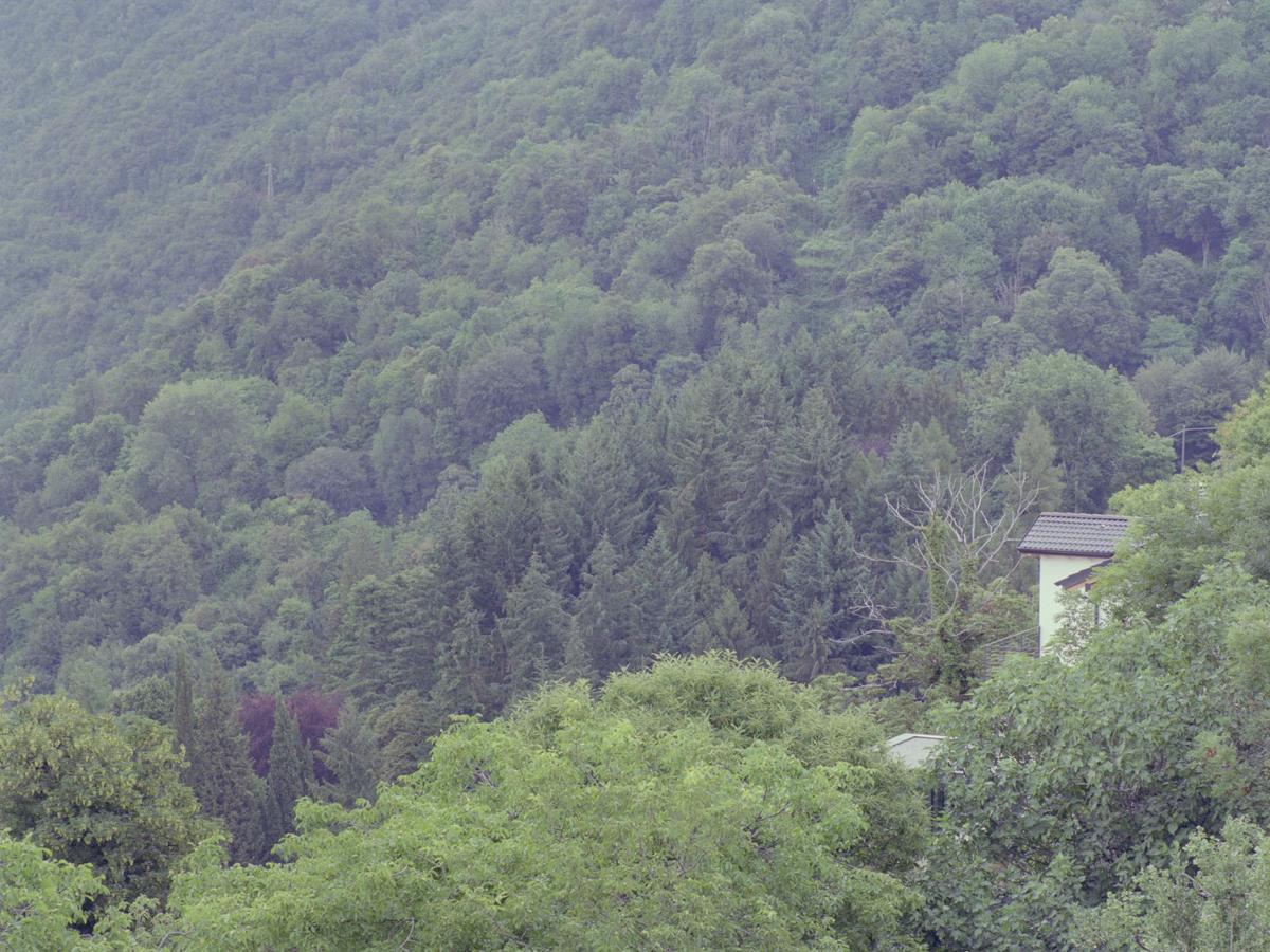Villa Fauna Flora Lago